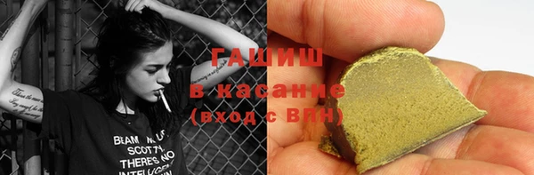 индика Инта
