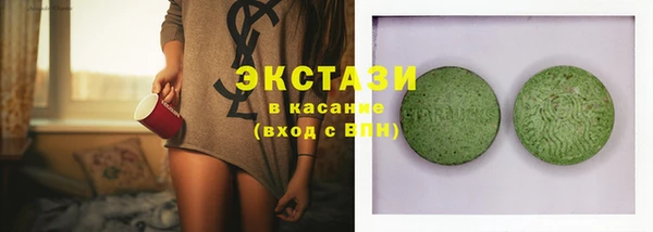 индика Инта