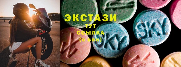 индика Инта
