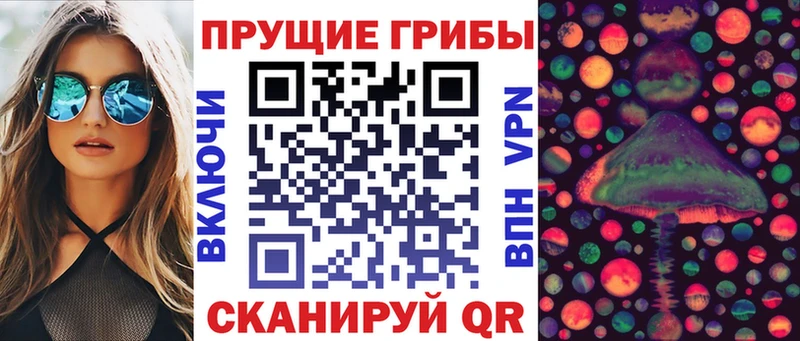 Купить где  Нижнеудинск  Галлюциногенные грибы прущие грибы 